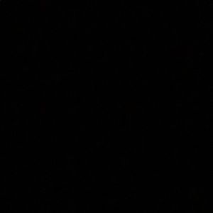 Meet your Posher, Maddie